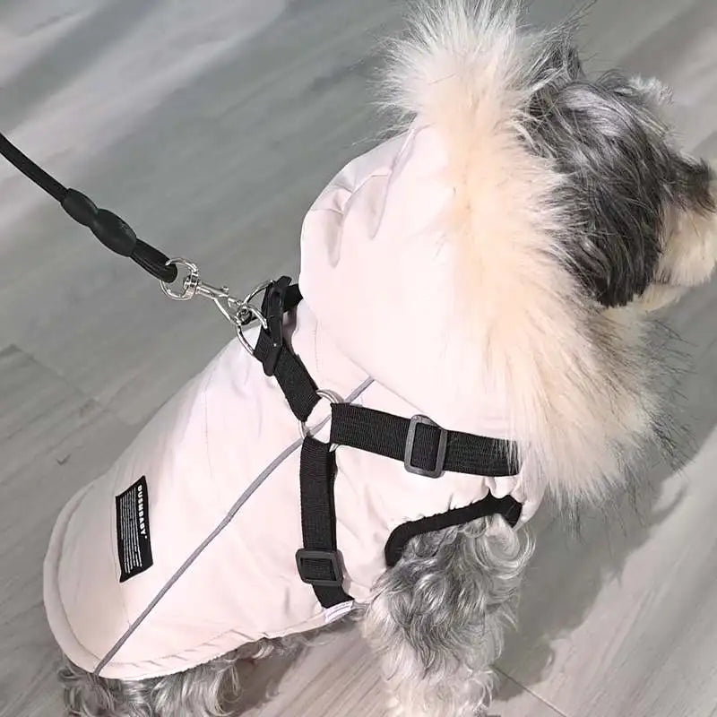 Arctic Shield Dog Coat