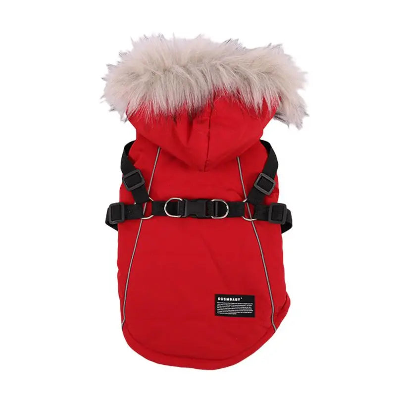 Arctic Shield Dog Coat