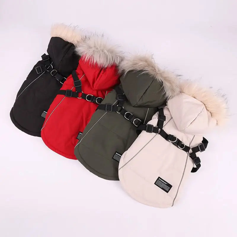 Arctic Shield Dog Coat