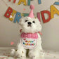 Adorable Dog Cat Puppy Birthday Hat & Bandana Set