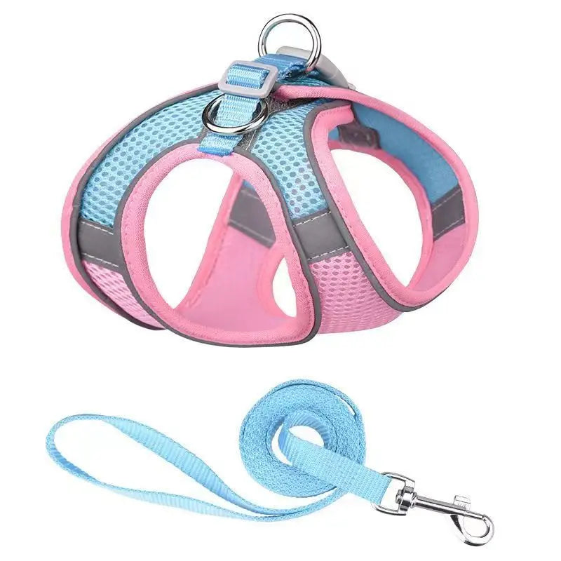 PawComfort Harness &amp; Leash