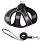 PawComfort Harness &amp; Leash