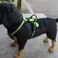 FlexiPaws Adjustable Nylon Dog Harness