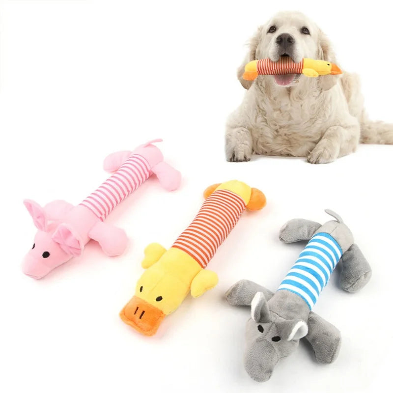 Dog Toys