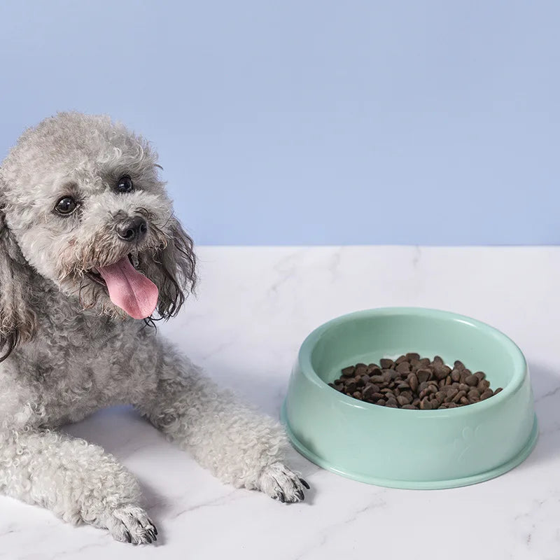 Eco-Friendly Pet Bowl