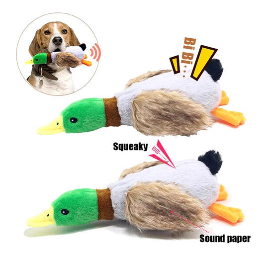 Quack Dog Toy