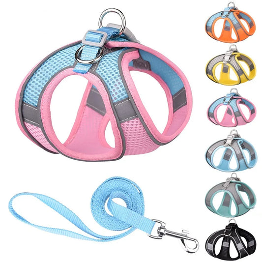 PawComfort Harness &amp; Leash