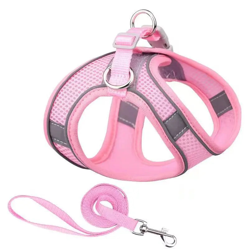 PawComfort Harness &amp; Leash