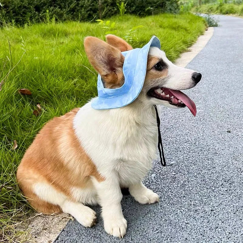 Summer Pet Baseball Cap