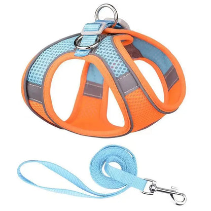 PawComfort Harness &amp; Leash