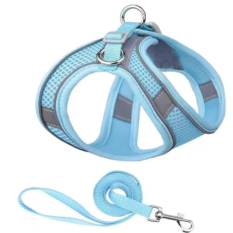 PawComfort Harness &amp; Leash